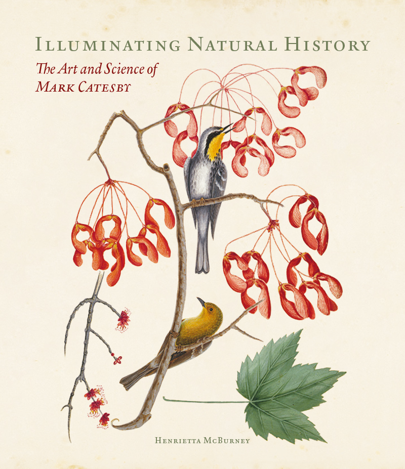 Cover of Illuminating Natural History