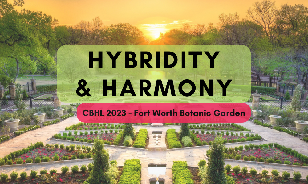 Logo for Hybridity and Harmony